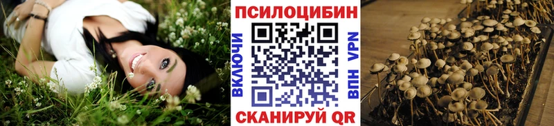 что такое   Северская  Псилоцибиновые грибы MAGIC MUSHROOMS 
