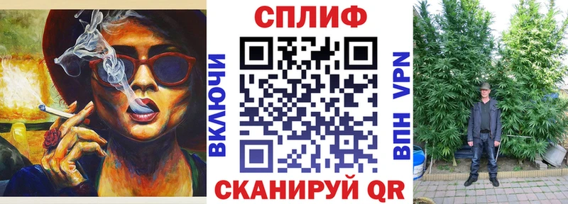 закладка  omg ссылки  Бошки марихуана Amnesia  Северская 